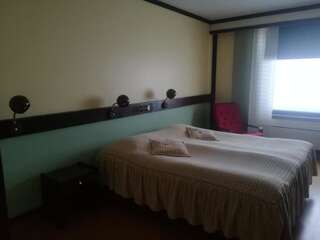 Отель Hotelli Pellonhovi Пелло Двухместный номер с 1 кроватью или 2 отдельными кроватями и ванной комнатой-1
